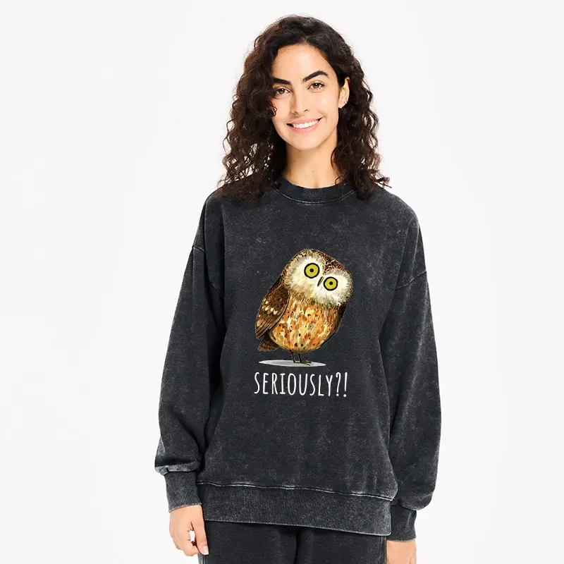 Tokyo-Tiger Seriously Confused Owl Meme Art Washed Sweatshirt