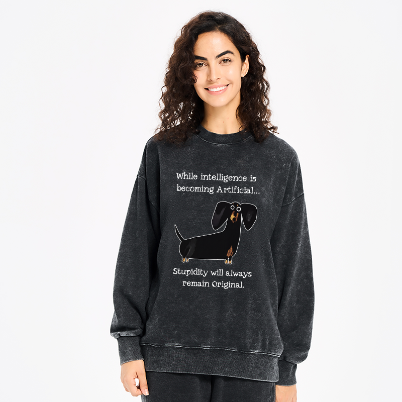 Tokyo-Tiger Dachshund Real Humor Funny Meme Washed Sweatshirt