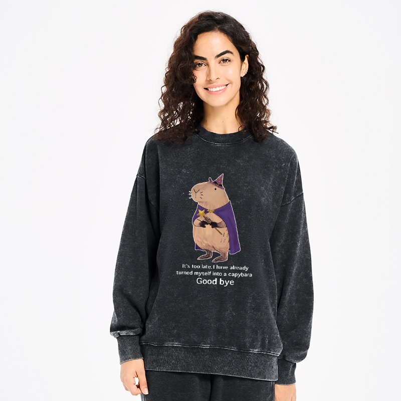 Tokyo-Tiger Funny Wizard Capybara Washed Sweatshirt