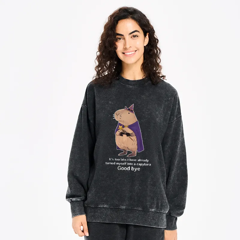 Tokyo-Tiger Funny Wizard Capybara Washed Sweatshirt