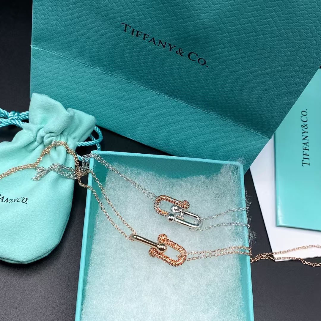 Buy replica Tiffany Large Double Link Pendant Necklace and replica jewelry from PICKS Jewelry