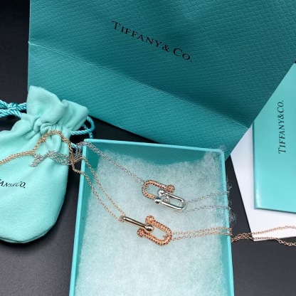 Buy replica Tiffany Large Double Link Pendant Necklace and replica jewelry from PICKS Jewelry
