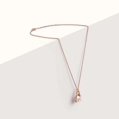 Buy replica Hermes Plain Surface Bag Pendant Necklace and replica jewelry from PICKS Jewelry