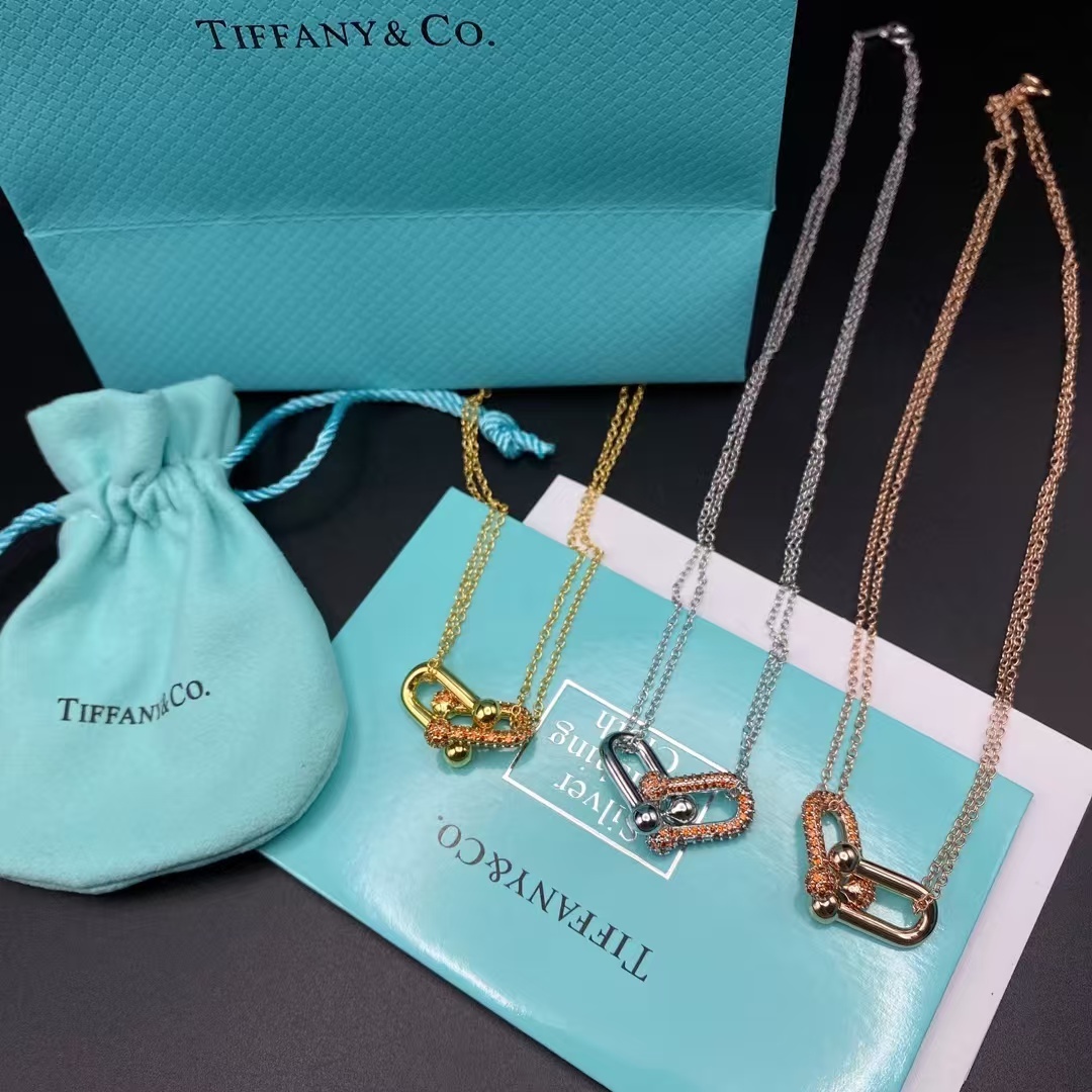 Buy replica Tiffany Large Double Link Pendant Necklace and replica jewelry from PICKS Jewelry
