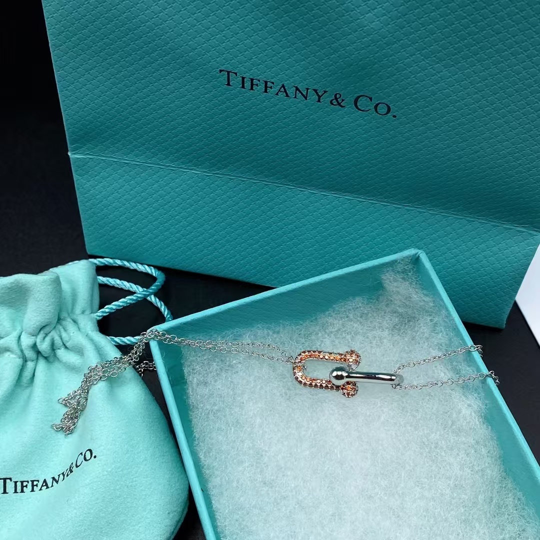 Buy replica Tiffany Large Double Link Pendant Necklace and replica jewelry from PICKS Jewelry