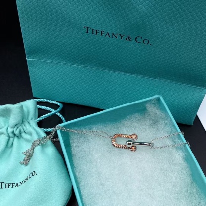 Buy replica Tiffany Large Double Link Pendant Necklace and replica jewelry from PICKS Jewelry