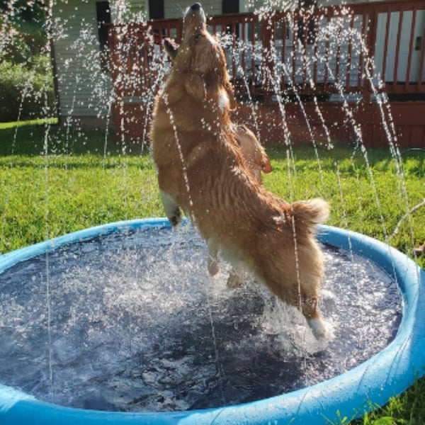 EVCM Gyerekek és kutya számára való Splash Pad