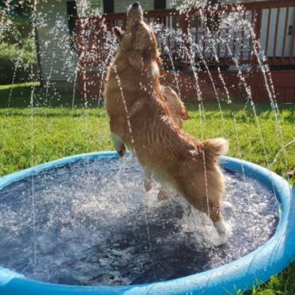 EVCM Gyerekek és kutya számára való Splash Pad