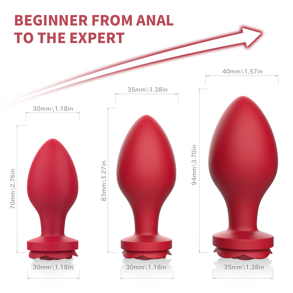 Spark & Sway Anal Sex Toy