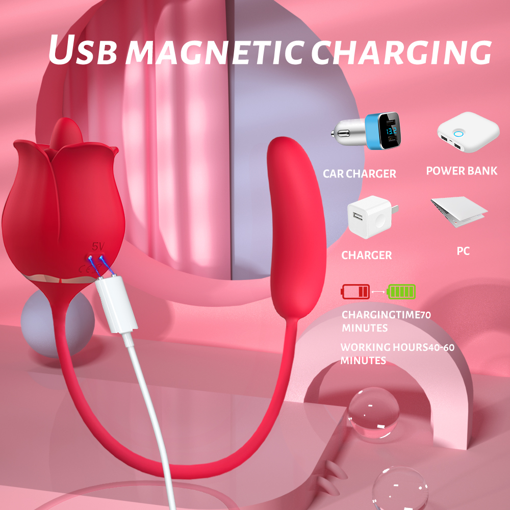 Nocturne & Silk Rabbit vibrators