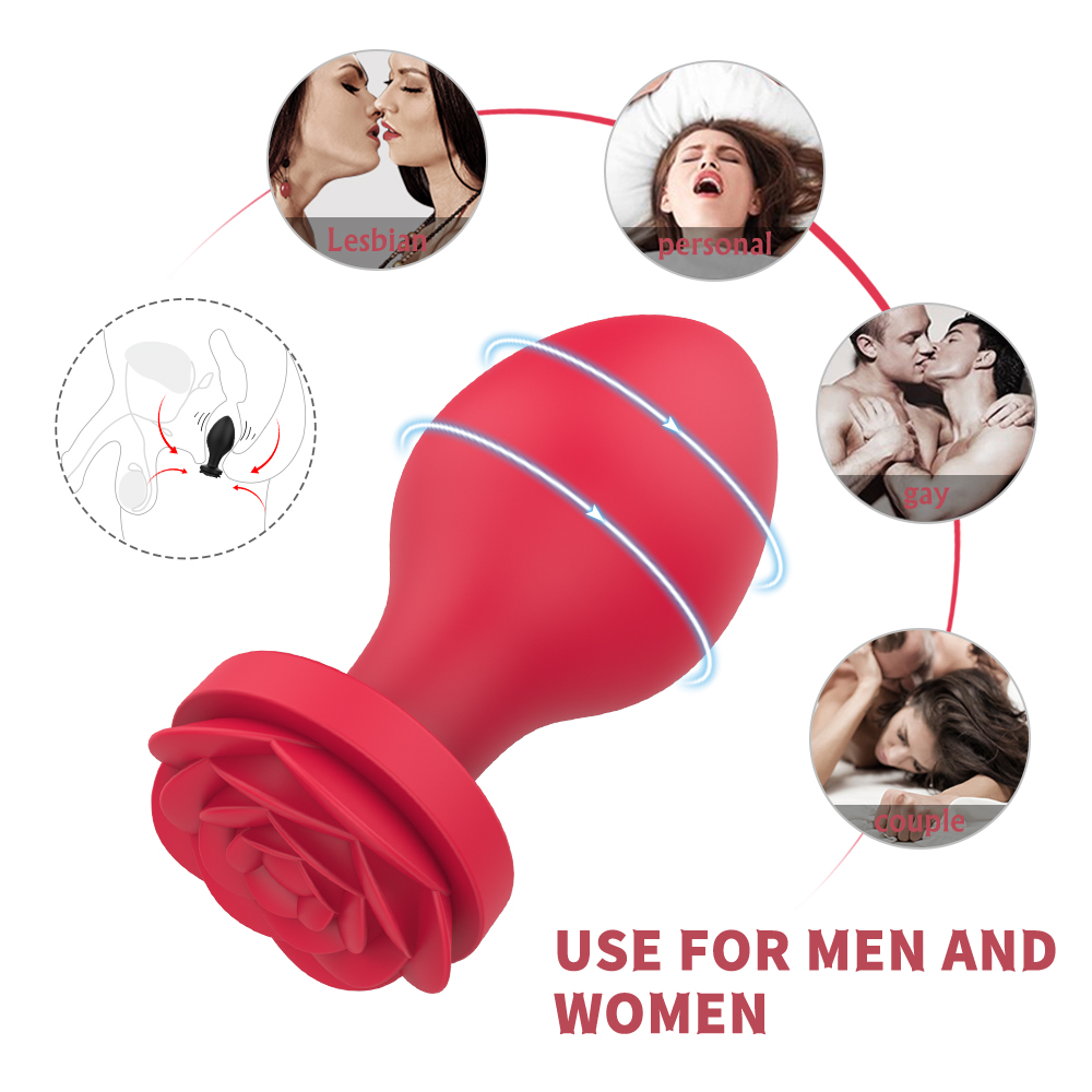 Spark & Sway Anal Sex Toy