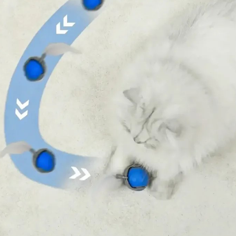 SPEEDY TAIL 2.0