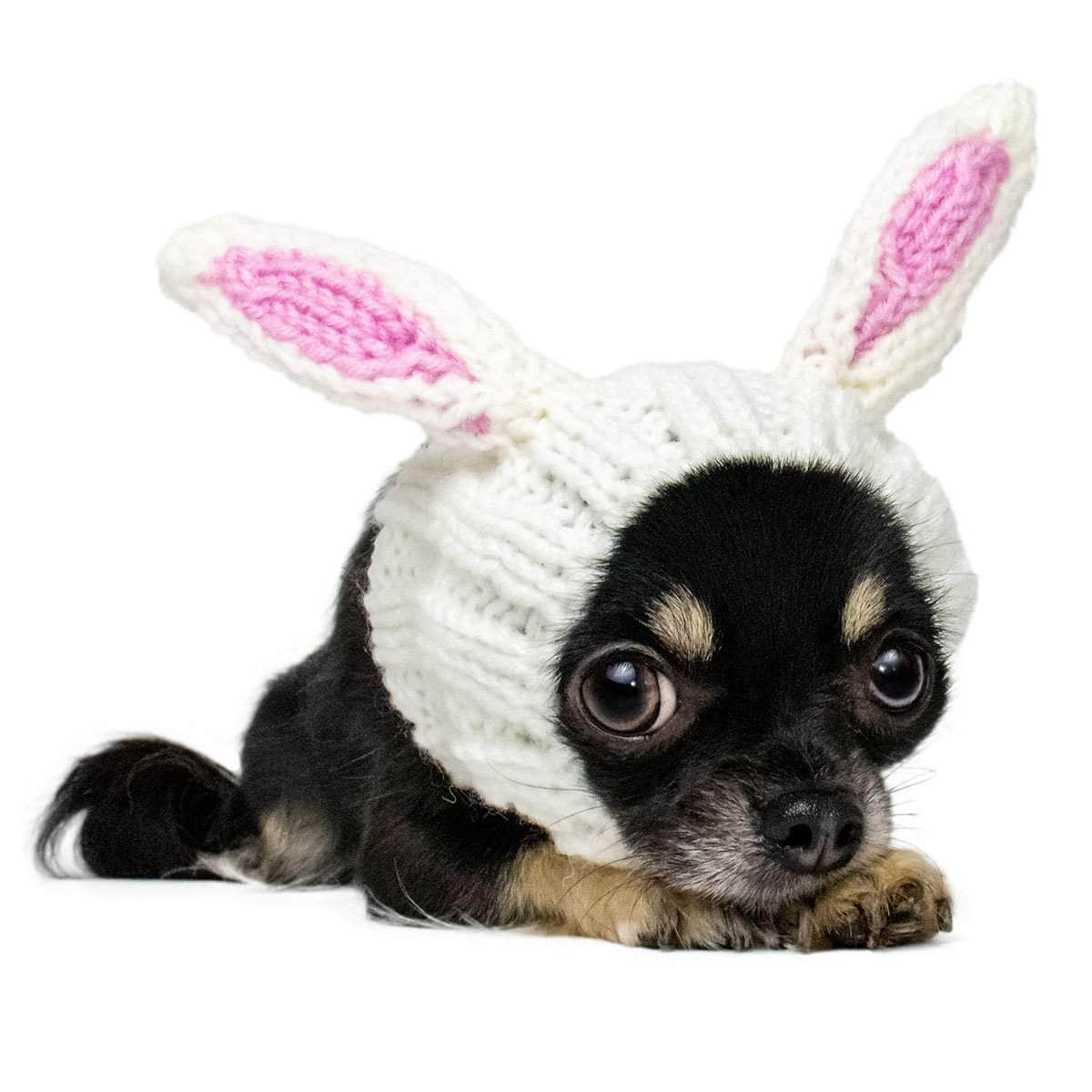 🐕Knit Dog Snood Wrap for Pets