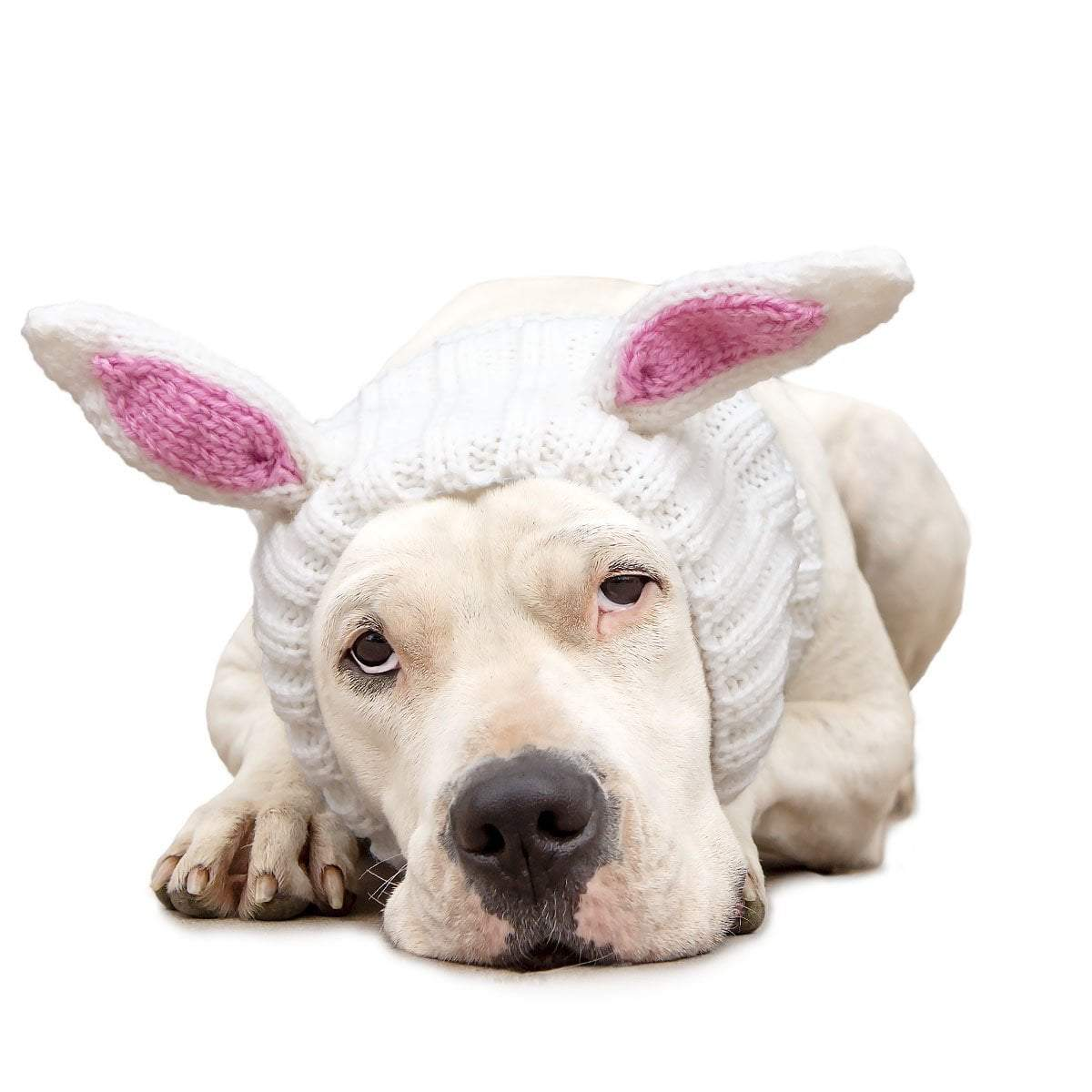 🐕Knit Dog Snood Wrap for Pets