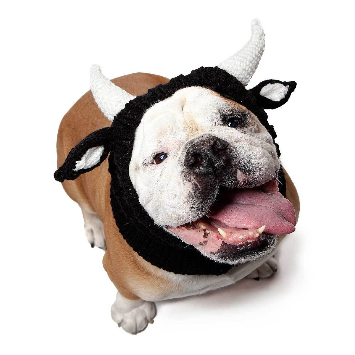 🐕Knit Dog Snood Wrap for Pets