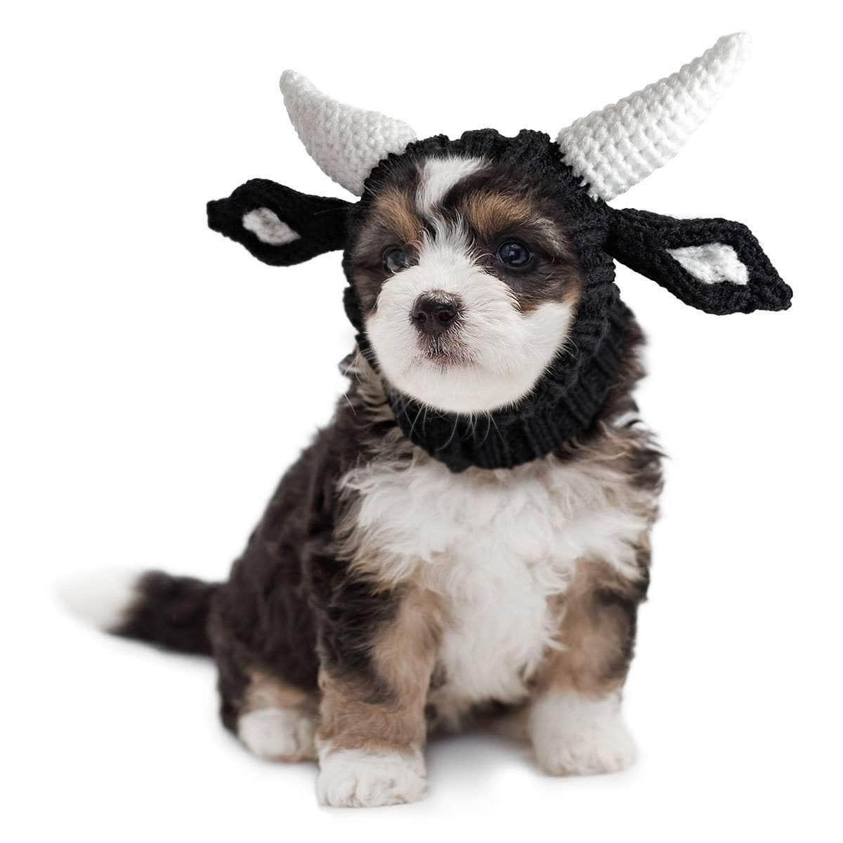 🐕Knit Dog Snood Wrap for Pets
