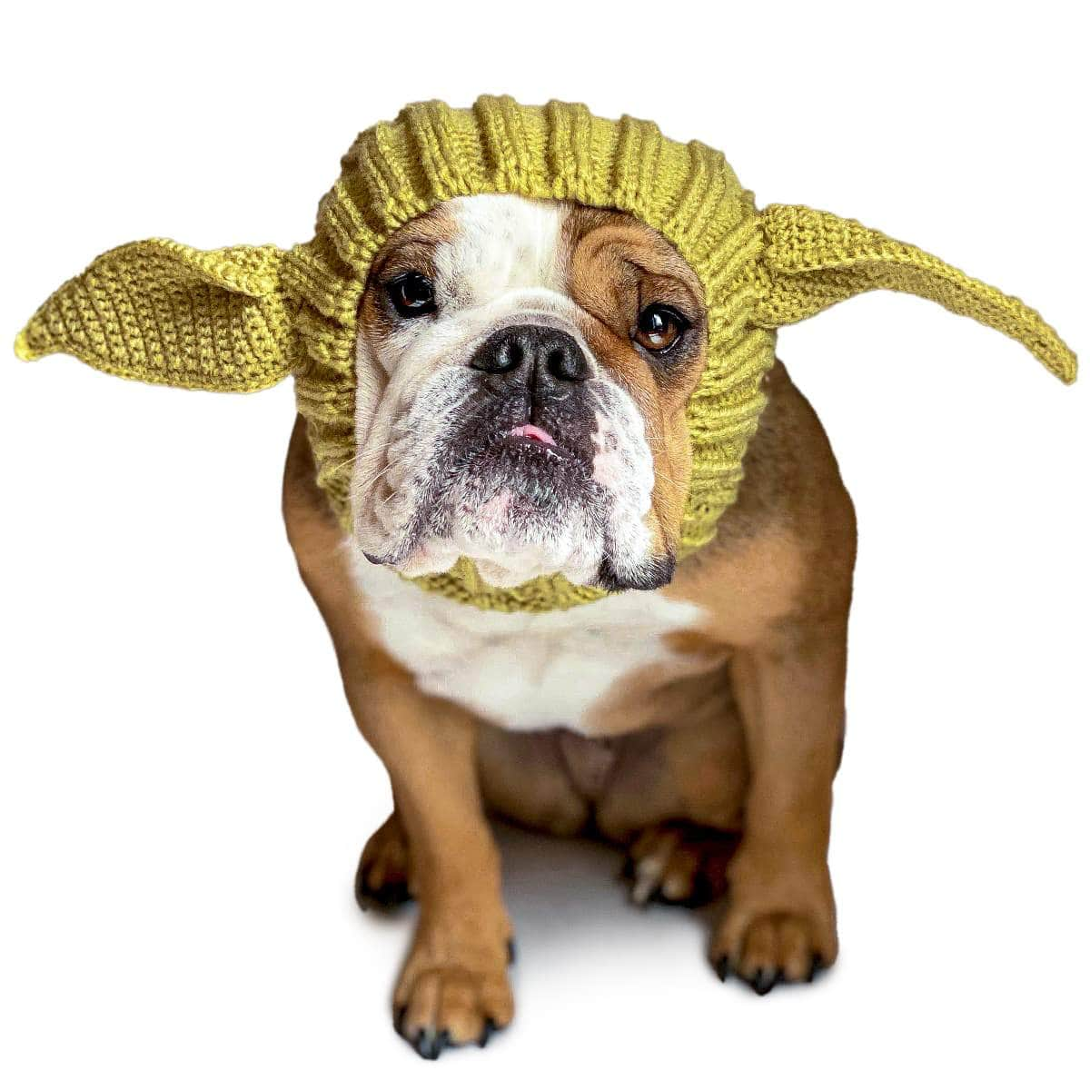 🐕Knit Dog Snood Wrap for Pets