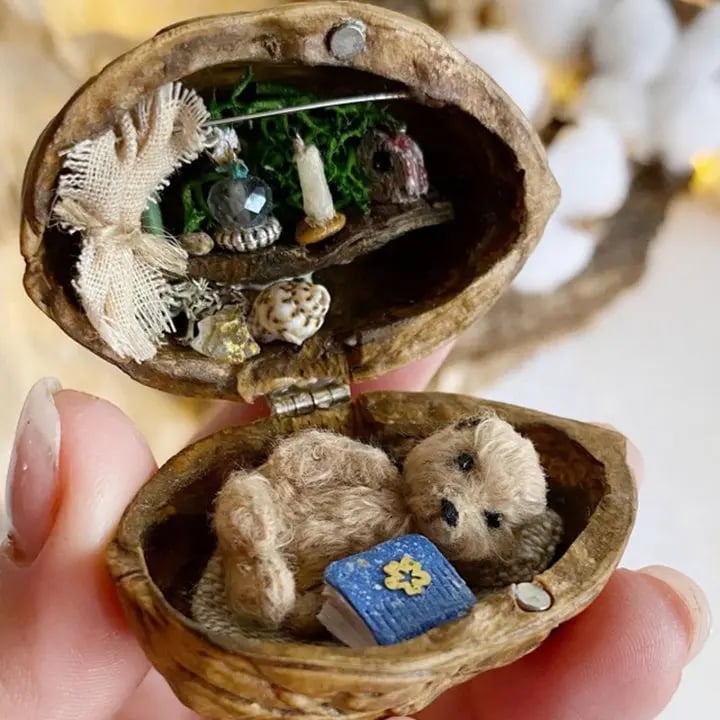Handmade🏠Walnut Shell Doll House -- Mini Library, Tiny World Inside Walnuts