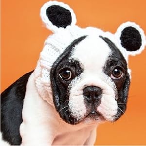 cover ear protection dog puppy golden retriever corgi basset poodle labrador pug bulldog french