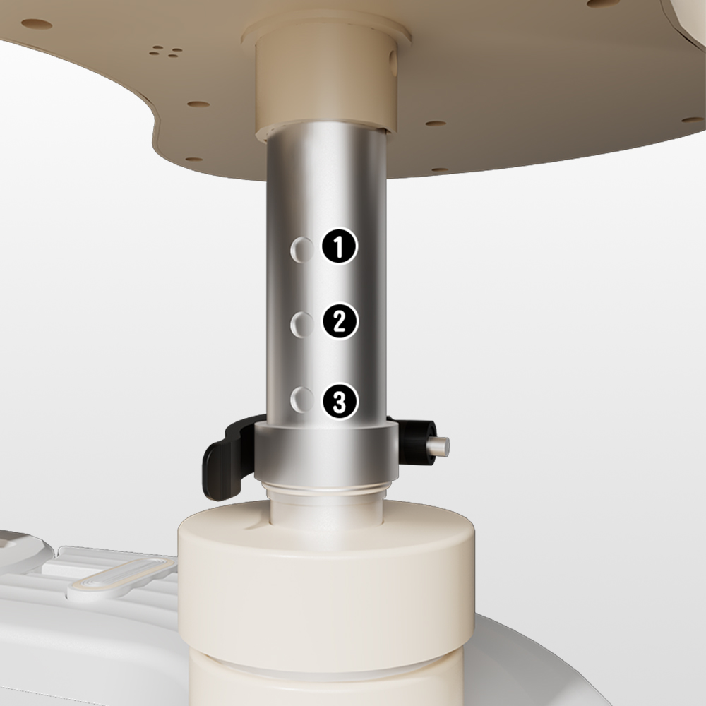 Spine Twist & Stretch Trainer Effective Waist & Spine Workout