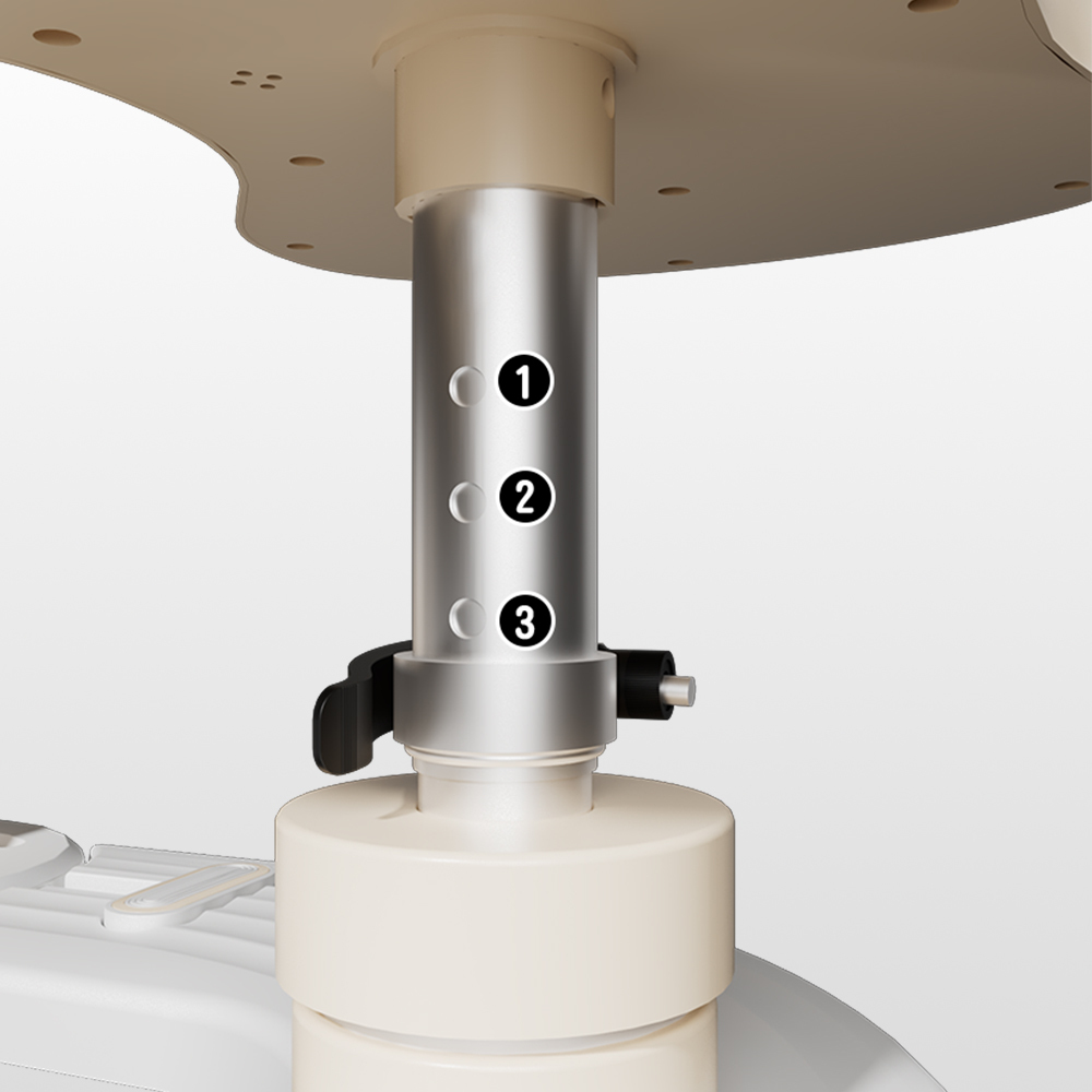 Spine Twist & Stretch Trainer Effective Waist & Spine Workout