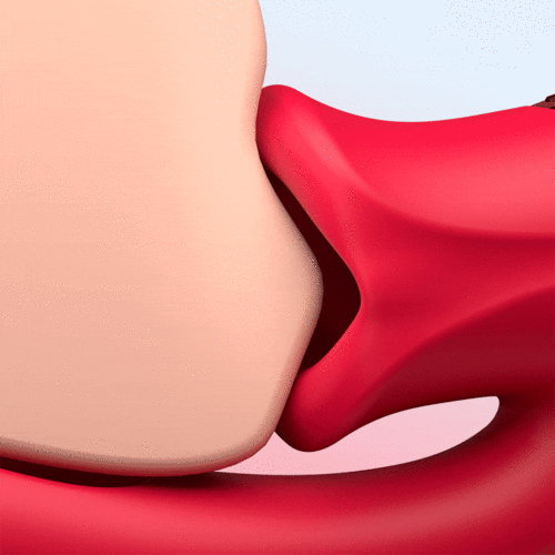 Enjoy S*X-Shaped Biting G Spot Soother with Vibration & Flapping-ENJOY