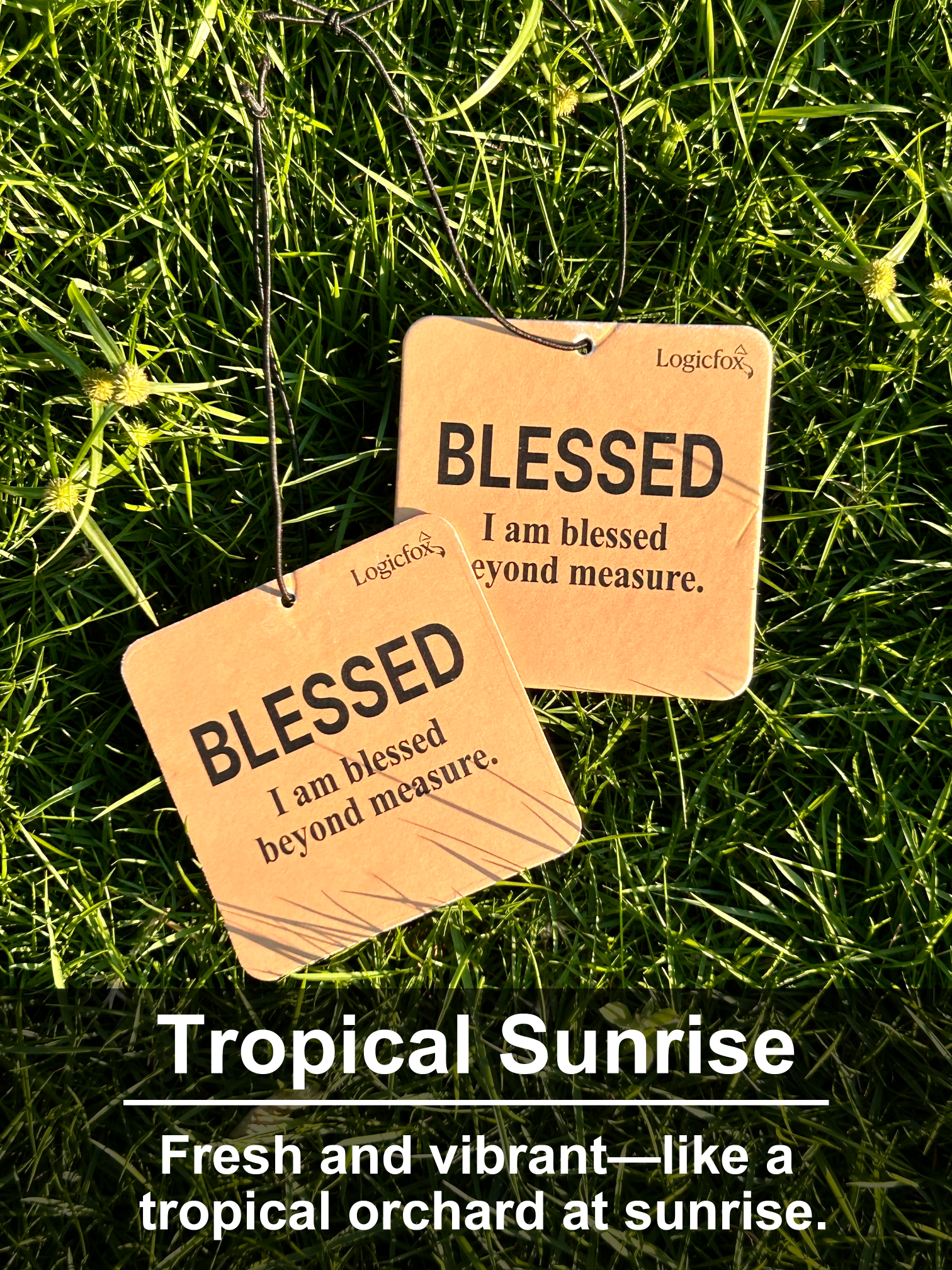 Air Fresheners Car Air Freshener. Hanging car Provides Long Lasting Scent for Auto or Home. Be Kind, 2 Air Fresheners