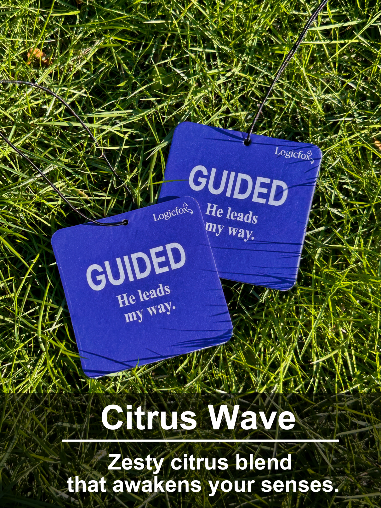 Air Fresheners Car Air Freshener. Hanging car Provides Long Lasting Scent for Auto or Home. Be Kind, 2 Air Fresheners