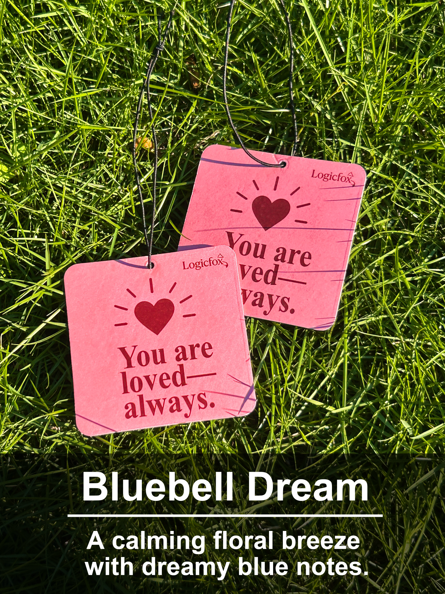 Air Fresheners Car Air Freshener. Hanging car Provides Long Lasting Scent for Auto or Home. Be Kind, 2 Air Fresheners