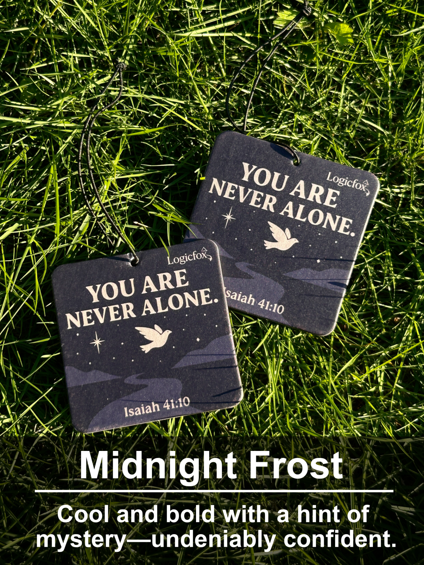 Air Fresheners Car Air Freshener. Hanging car Provides Long Lasting Scent for Auto or Home. Be Kind, 2 Air Fresheners