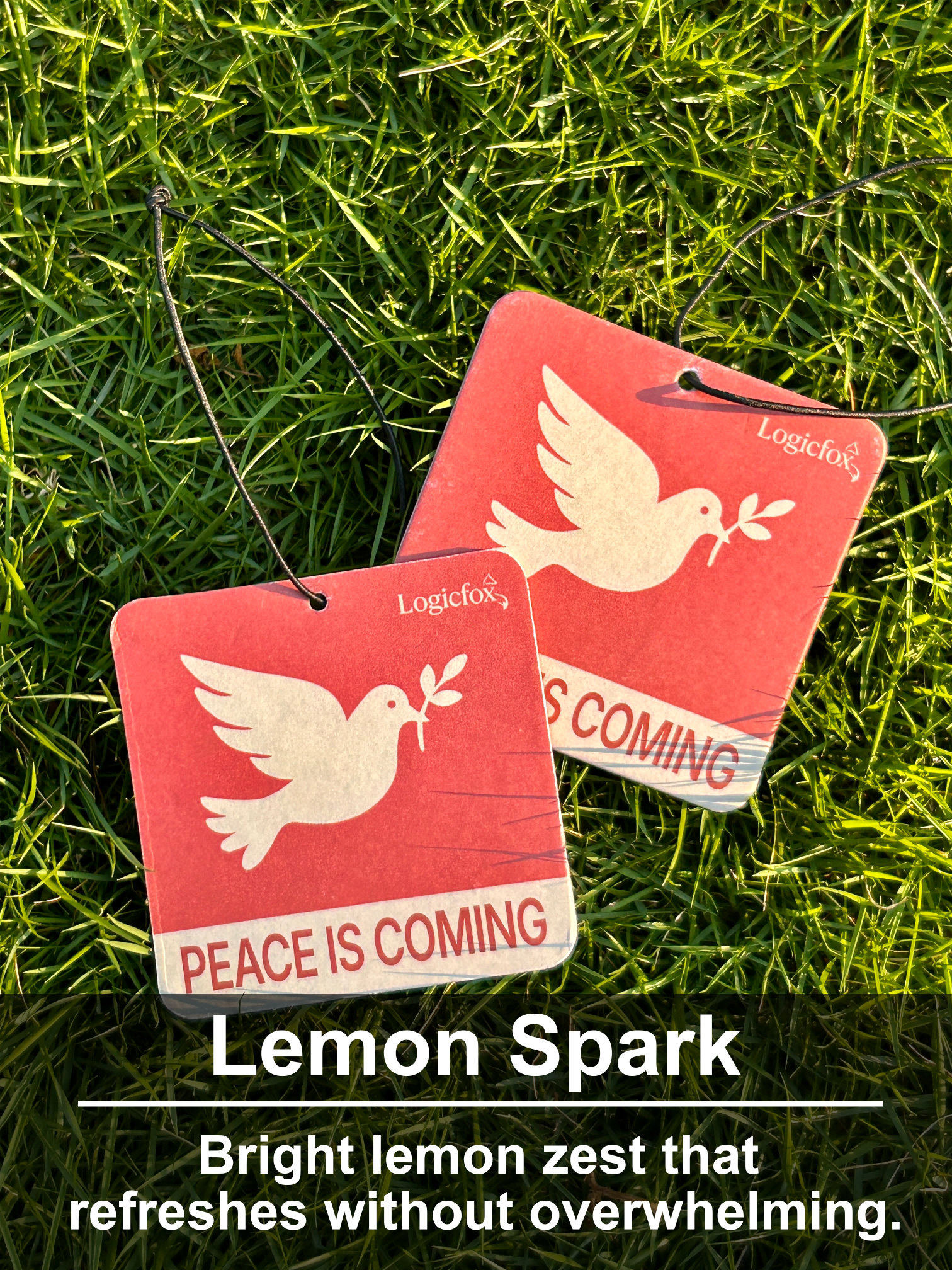 Air Fresheners Car Air Freshener. Hanging car Provides Long Lasting Scent for Auto or Home. Be Kind, 2 Air Fresheners