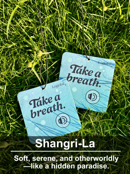 Air Fresheners Car Air Freshener. Hanging car Provides Long Lasting Scent for Auto or Home. Be Kind, 2 Air Fresheners