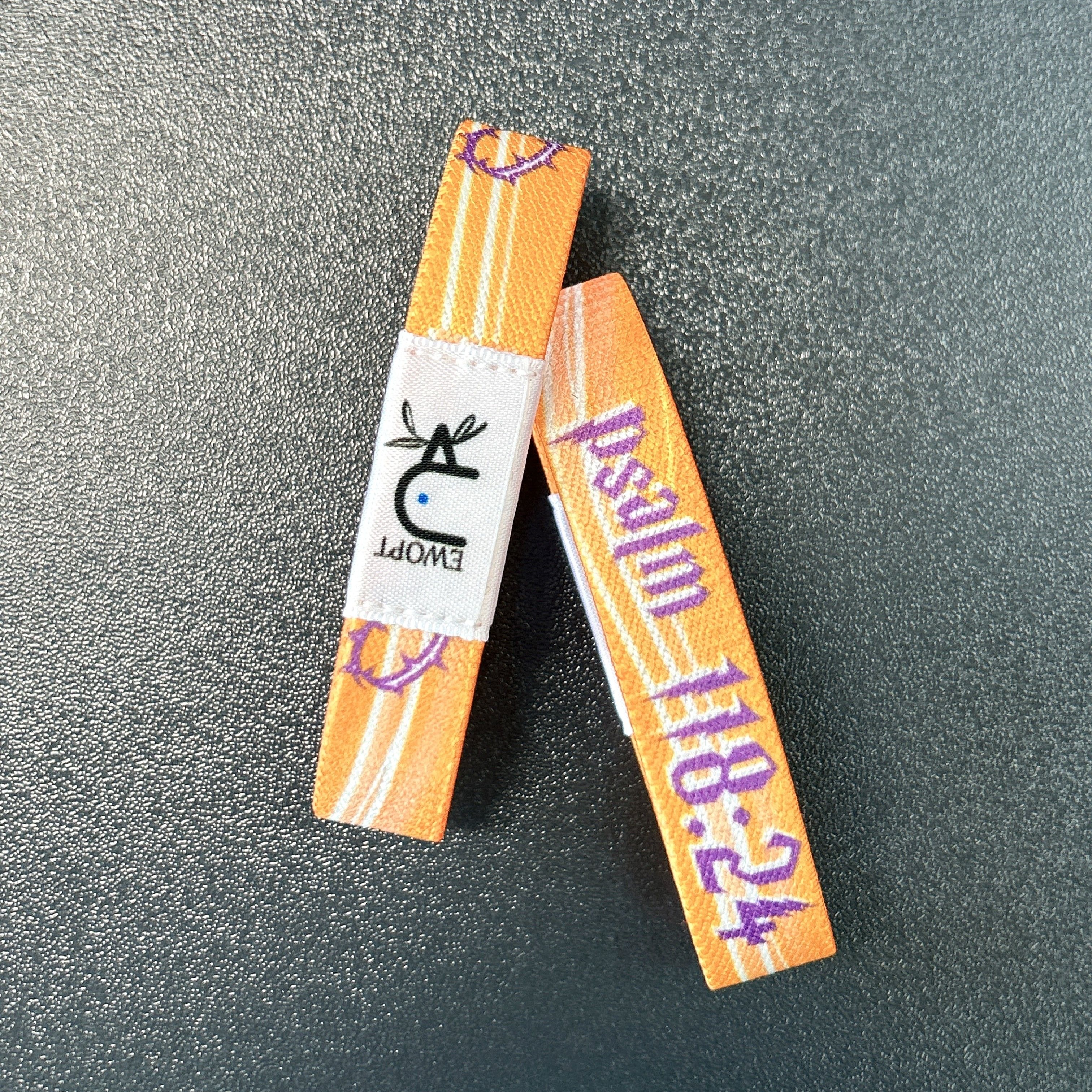 Psalm 118:24-EWOPT NFC Daily Bible Bracelet-ewoptbracelet