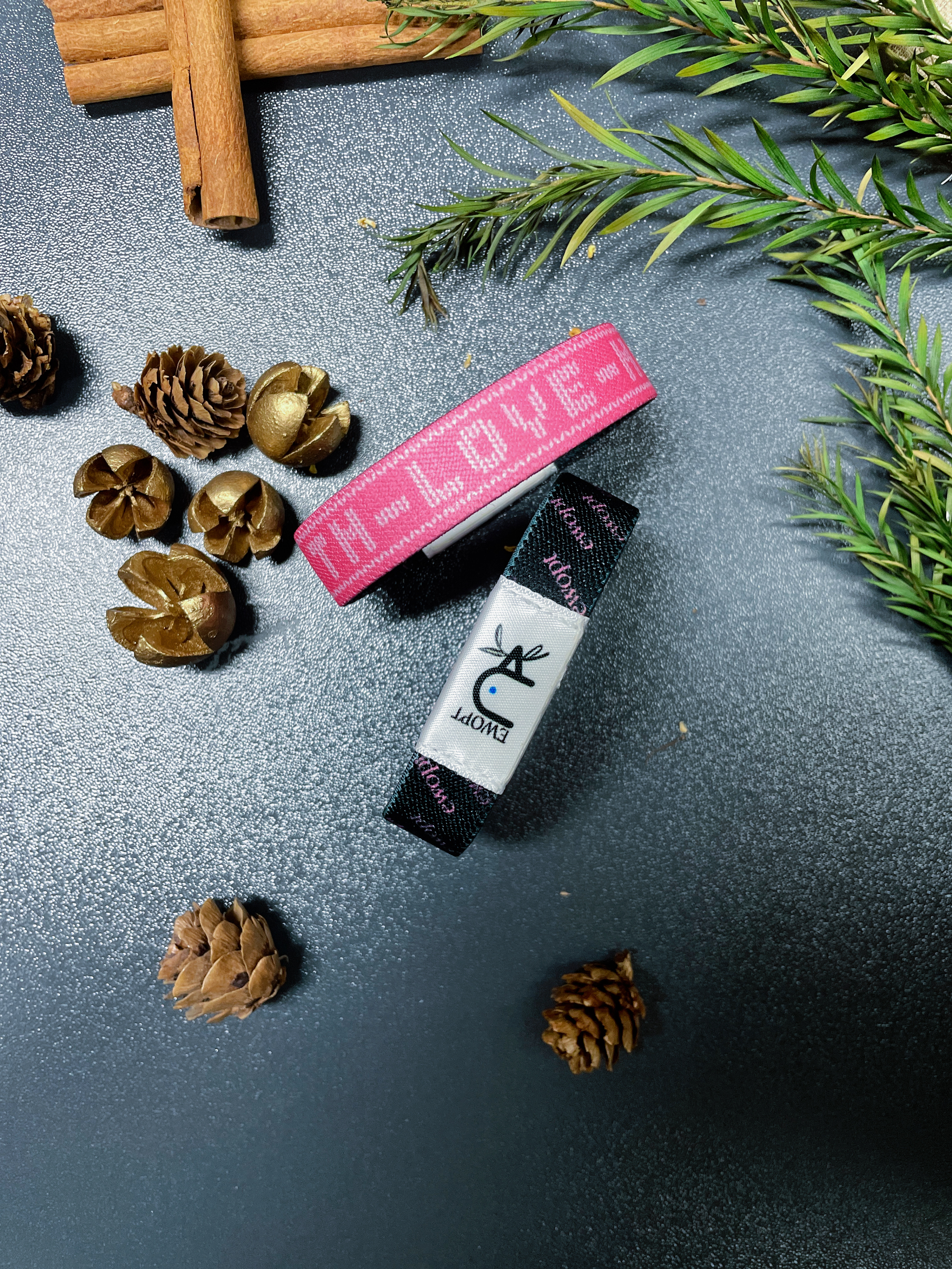 {Daily Bible Bracelets}-{EWOPT yappy Bracelets}