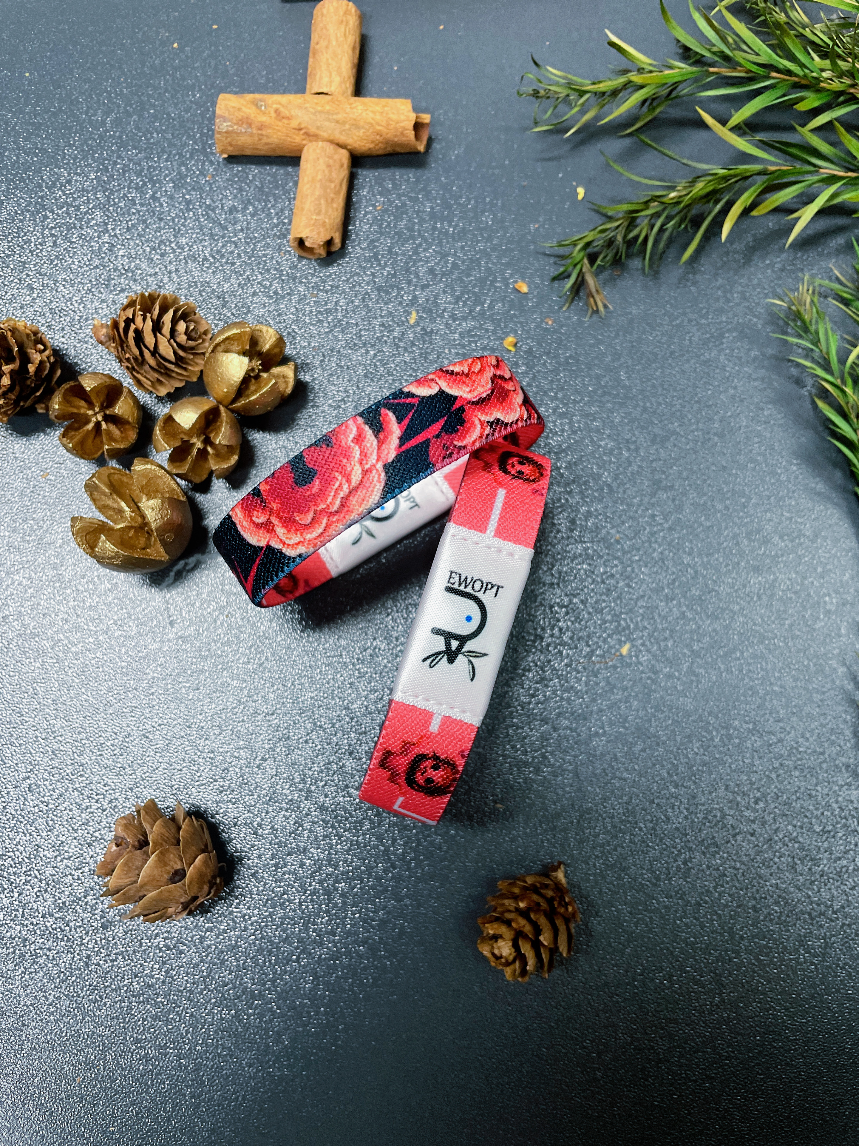 {Daily Bible Bracelets}-{EWOPT yappy Bracelets}