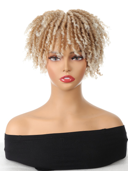 6 - inch African spiral mesh style dreadlock wigs
