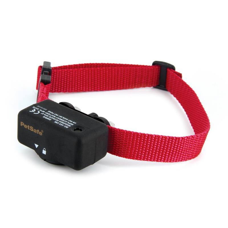 Bark Control Collar-Paradise Island Wear