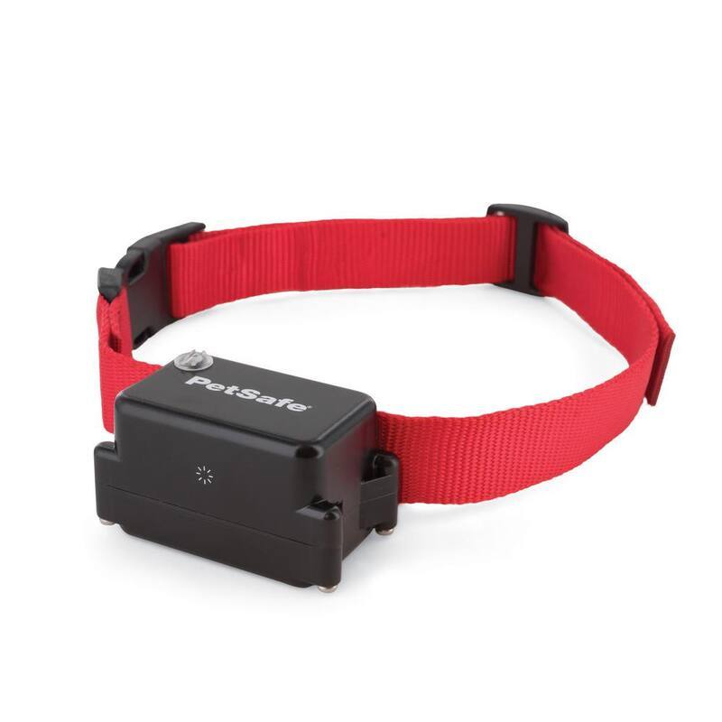 -a- Stubborn In-Ground Fence Receiver Collar-Paradise Island Wear