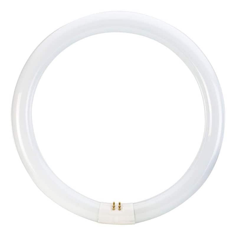 32-Watt 12 in. Linear T9 Fluorescent Tube Light Bulb Cool White (4100K) Circline (30-Pack)-Paradise Island Wear