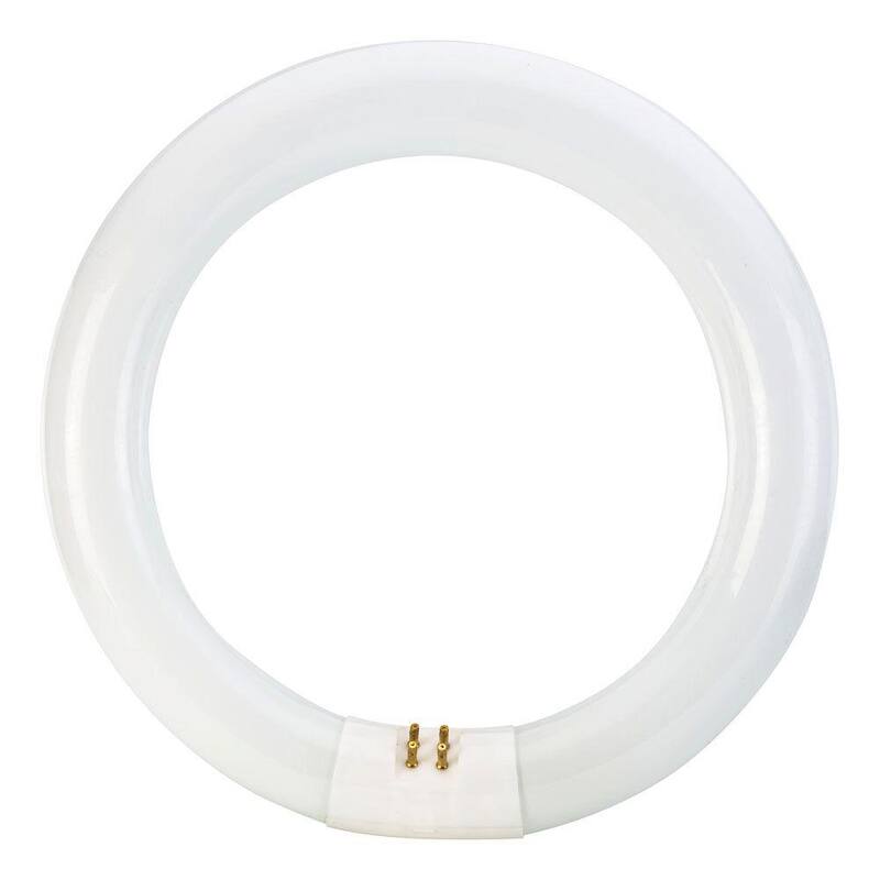 22-Watt 8 in. Linear T9 Fluorescent Tube Light Bulb Daylight Deluxe (6500K) Circline (30-Pack)-Paradise Island Wear