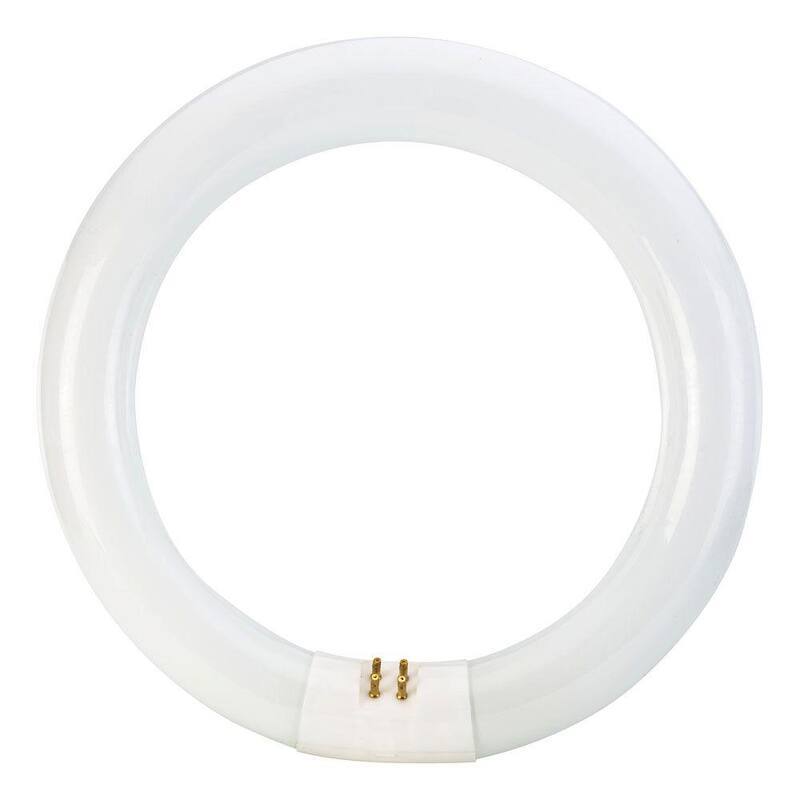 22-Watt 8 in. Linear T9 Fluorescent Tube Light Bulb Daylight Deluxe (6500K) Circline (30-Pack)-Paradise Island Wear