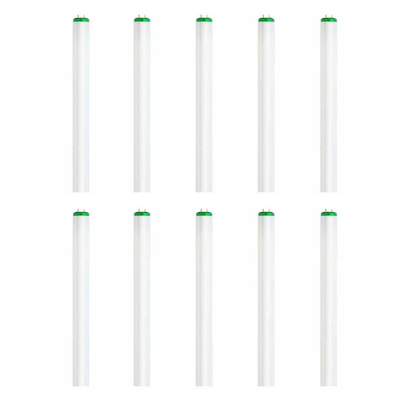 40-Watt 4 ft. T12 Fluorescent Tube Light Bulb Natural Daylight (5000K) (10-pack)-Paradise Island Wear