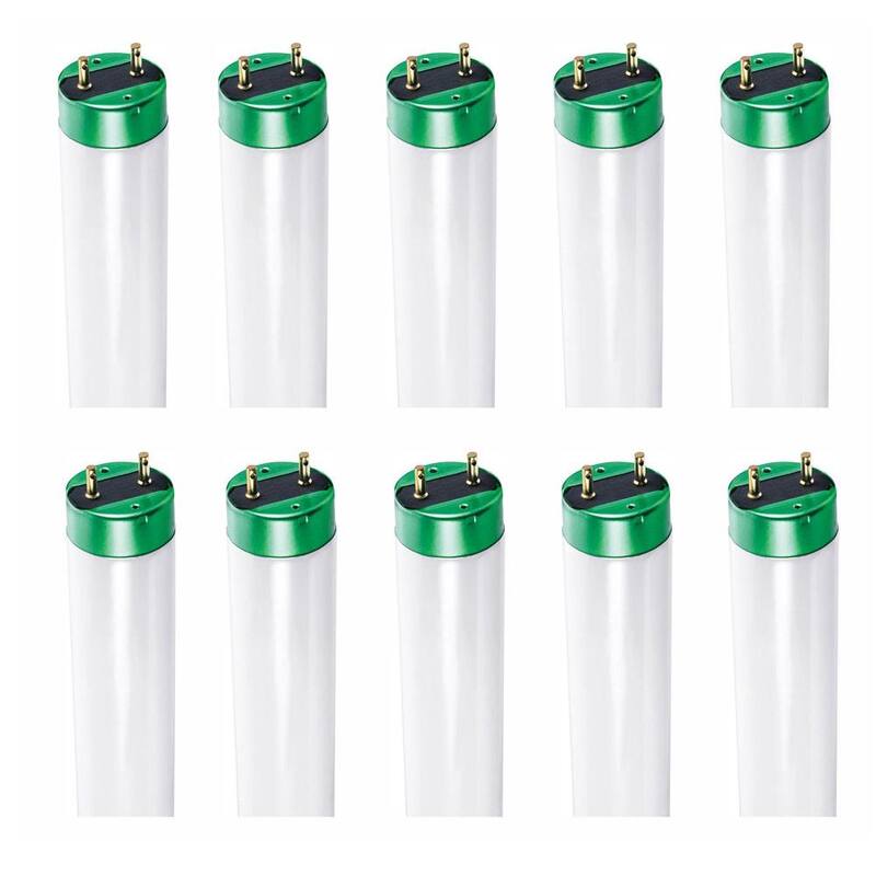 32-Watt 4 ft. T8 Fluorescent Tube Light Bulb, Daylight (6500K) (10-Pack)-Paradise Island Wear