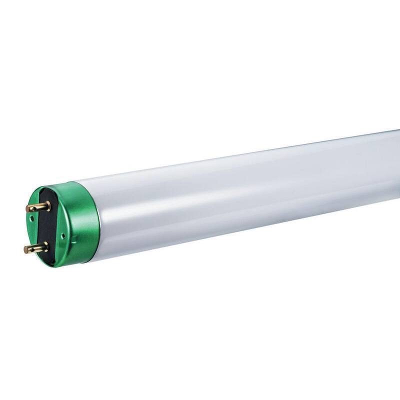 17-Watt 2 ft. T8 Fluorescent Tube Light Bulb Bright (3000K) (30-Pack)-Paradise Island Wear