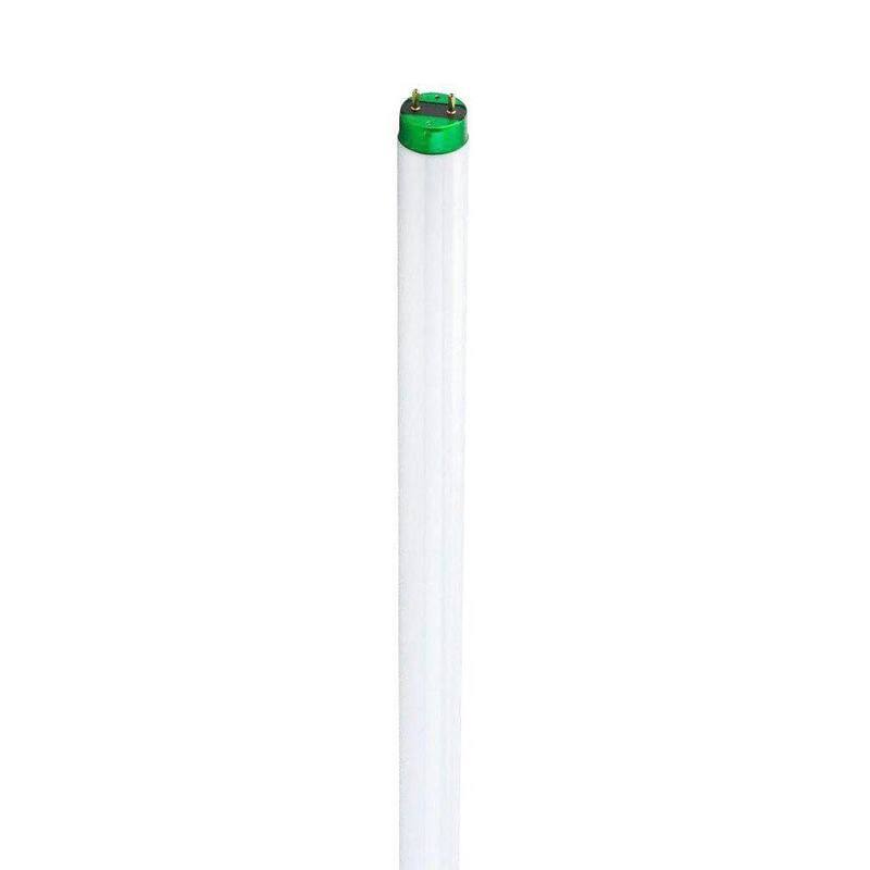 15-Watt 18 in. T8 Fluorescent Tube Light Bulb Daylight Deluxe (6500K) (6-Pack)-Paradise Island Wear