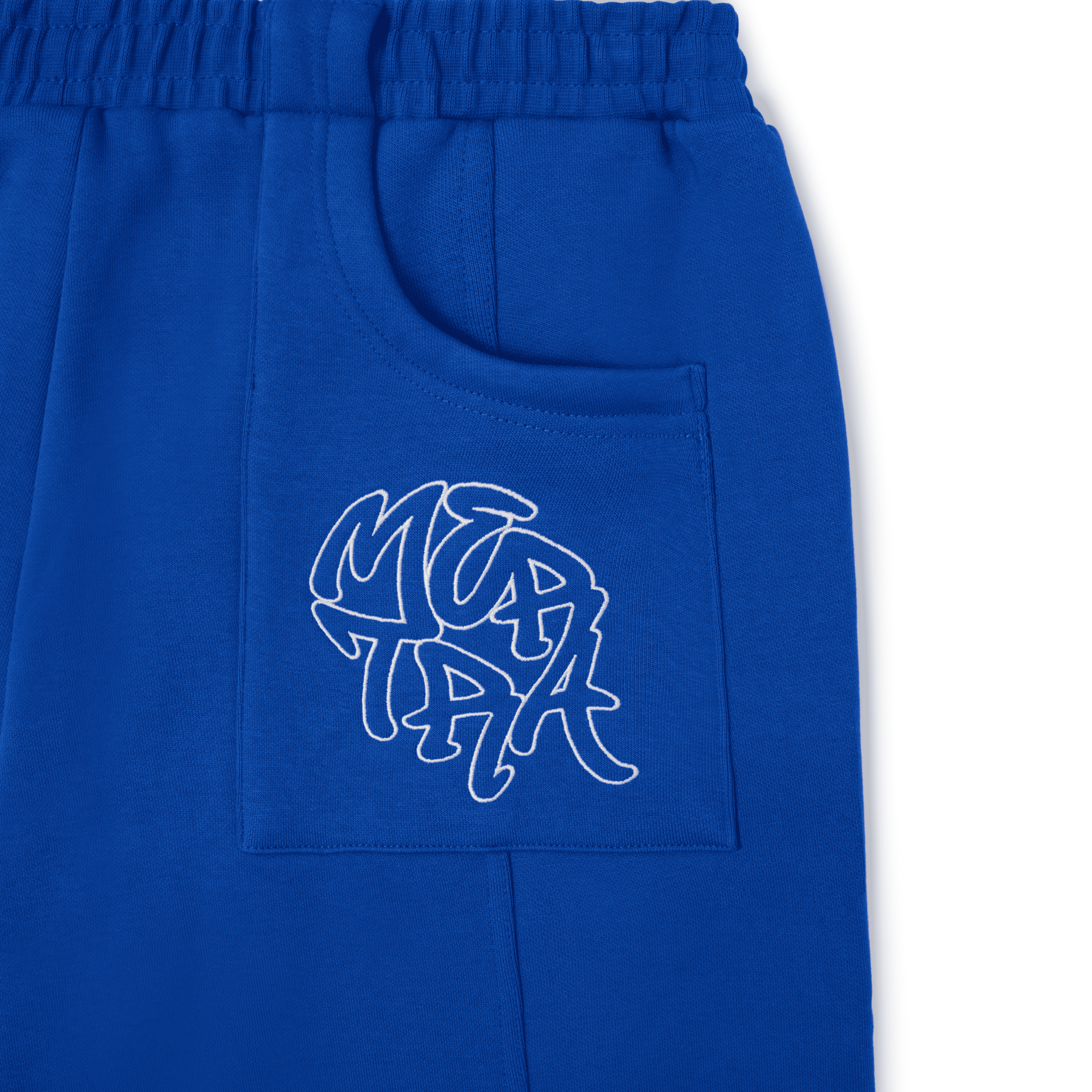 Bigstep Shorts (Blue / White)