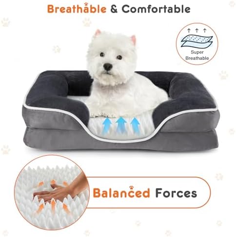 Orthopedic Dog Bed for Small Dogs, Waterproof Memory Foam Pet Beds with Sides, Washable Removable Cover, Non-Slip Base, Egg Crate Foam Couch for Improved Sleep, 24" L x 18" W x 6.5" Th
