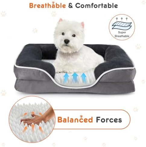 Orthopedic Dog Bed for Small Dogs, Waterproof Memory Foam Pet Beds with Sides, Washable Removable Cover, Non-Slip Base, Egg Crate Foam Couch for Improved Sleep, 24" L x 18" W x 6.5" Th