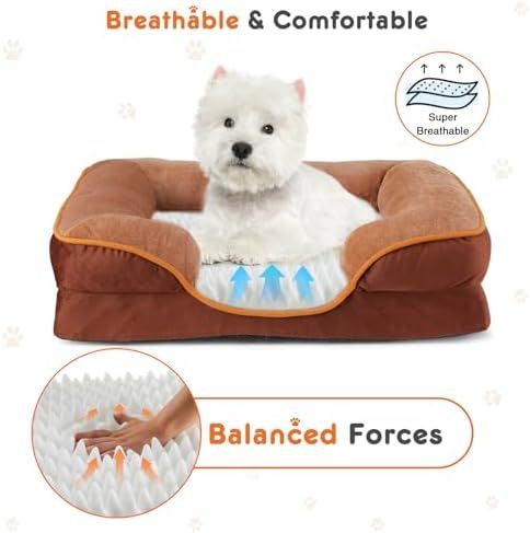 Orthopedic Dog Bed for Small Dogs, Waterproof Memory Foam Pet Beds with Sides, Washable Removable Cover, Non-Slip Base, Egg Crate Foam Couch for Improved Sleep, 24" L x 18" W x 6.5" Th