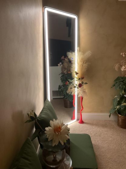 Full-Length LED Lighted Mirror with Adjustable Lighting, Wall Mirror